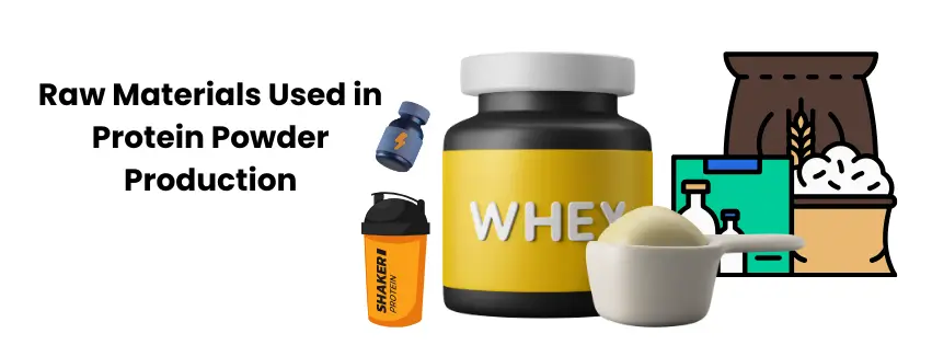 How Is Protein Powder Made? Uncover the Secret Process! Raw Materials Used in Protein Powder Production
