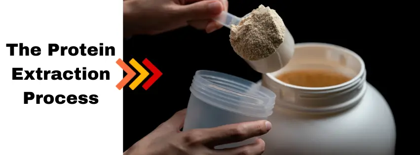 How Is Protein Powder Made? Uncover the Secret Process! The Protein Extraction Process