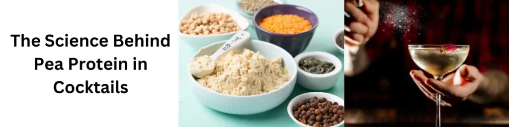 Pea Protein: The New Egg White for Your Cocktails? in 2024 The Science Behind Pea Protein in Cocktails