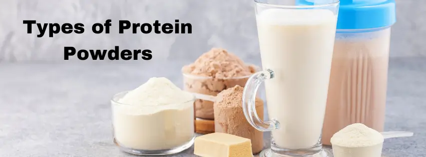 How Is Protein Powder Made? Uncover the Secret Process! Types of Protein Powders