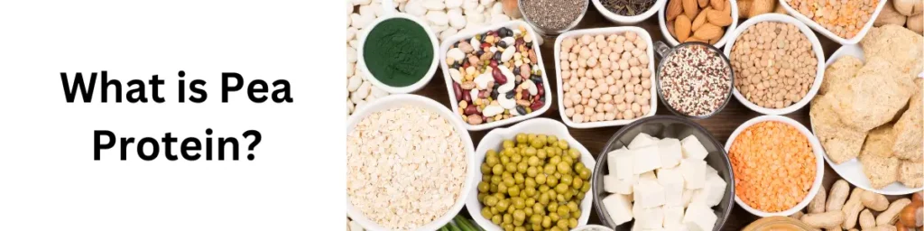 Pea Protein: The New Egg White for Your Cocktails? in 2024 What is Pea Protein?