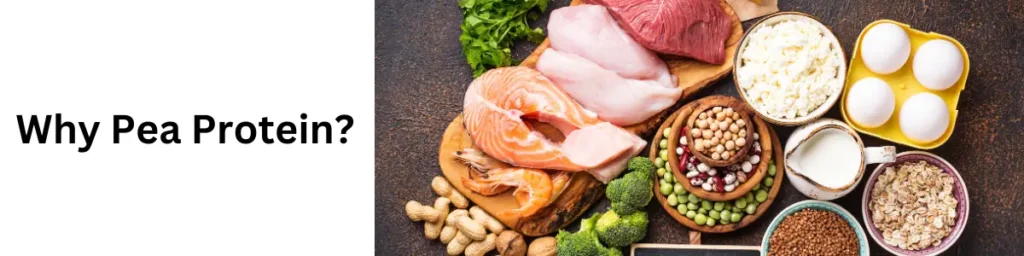 Pea Protein: The New Egg White for Your Cocktails? in 2024 Why Pea Protein?