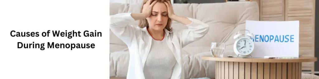 The Menopause Diet 5 Day Plan To Lose Weight In 2024 Causes of Weight Gain During Menopause