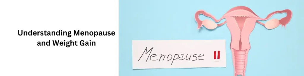 The Menopause Diet 5 Day Plan To Lose Weight In 2024 Understanding Menopause and Weight Gain