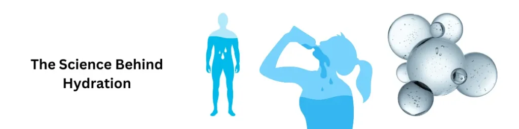 Why Water is Key to Staying Hydrated All Day! The Science Behind Hydration