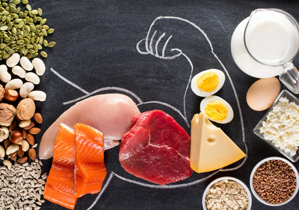 Best of Protein Supplements for Faster Muscle Growth! The Science Behind Protein and Muscle Growth: What You Must Know!